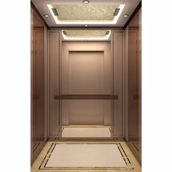 Elevador de passageiros China Vvvf Home Lift com alta qualidade