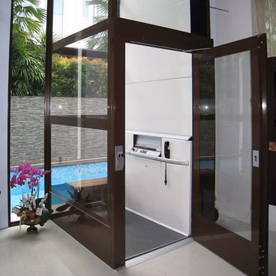 Vertical Desativar Casa de Idosos Elevador Plataforma Hidráulica Handicap Home Villa Cadeira de Rodas Residencial Passageiro Observação Vidro Elevador Turístico