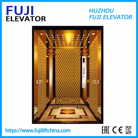 Elevador residencial panorâmico da observação da carga da casa do passageiro de FUJI na fábrica de China